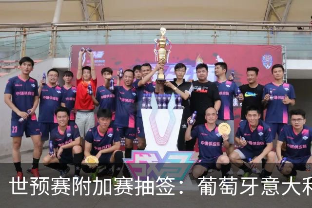世预赛附加赛抽签：葡萄牙意大利同区 瑞典VS捷克